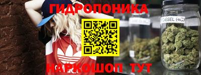 СК Тулун