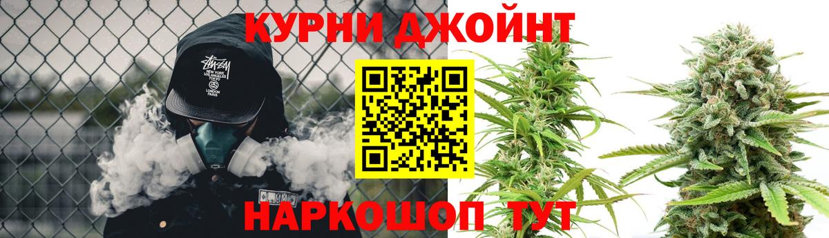 Бошки Шишки гибрид Новозыбков