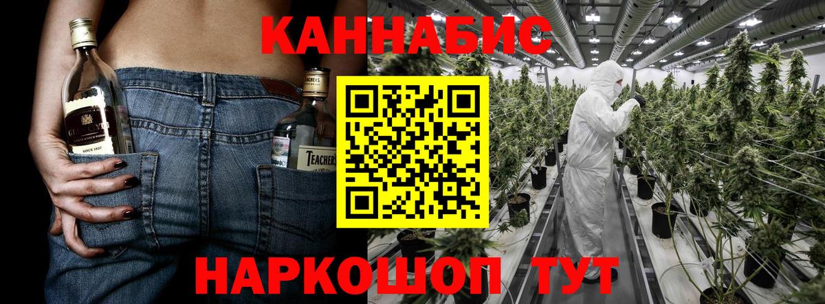 Новозыбков  Марихуана OG Kush  Шишки марихуана план  Вход с VPN  Каннабис ГИДРОПОН  Канабис план 